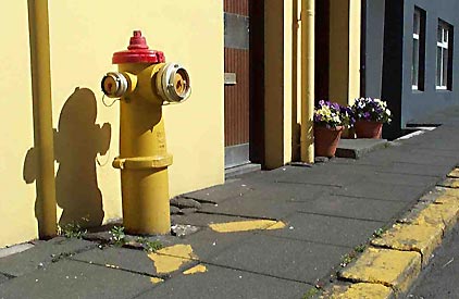 Hydrant Mfg: U.S. Pipe / Model: Sentinal / Country of Origin: USA / Note: Storz adapters on all outlets