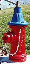 photo of Queen City hydrant