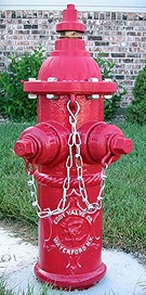 Brian Voss' hydrant collection